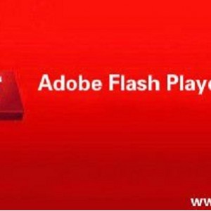 flash插件-禁升级，无广告版本