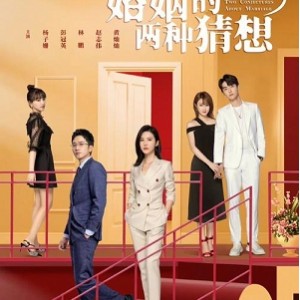 2022年《婚姻的两种猜想》1-24集DVD1080：杨子姗/彭冠英主演的家庭剧情